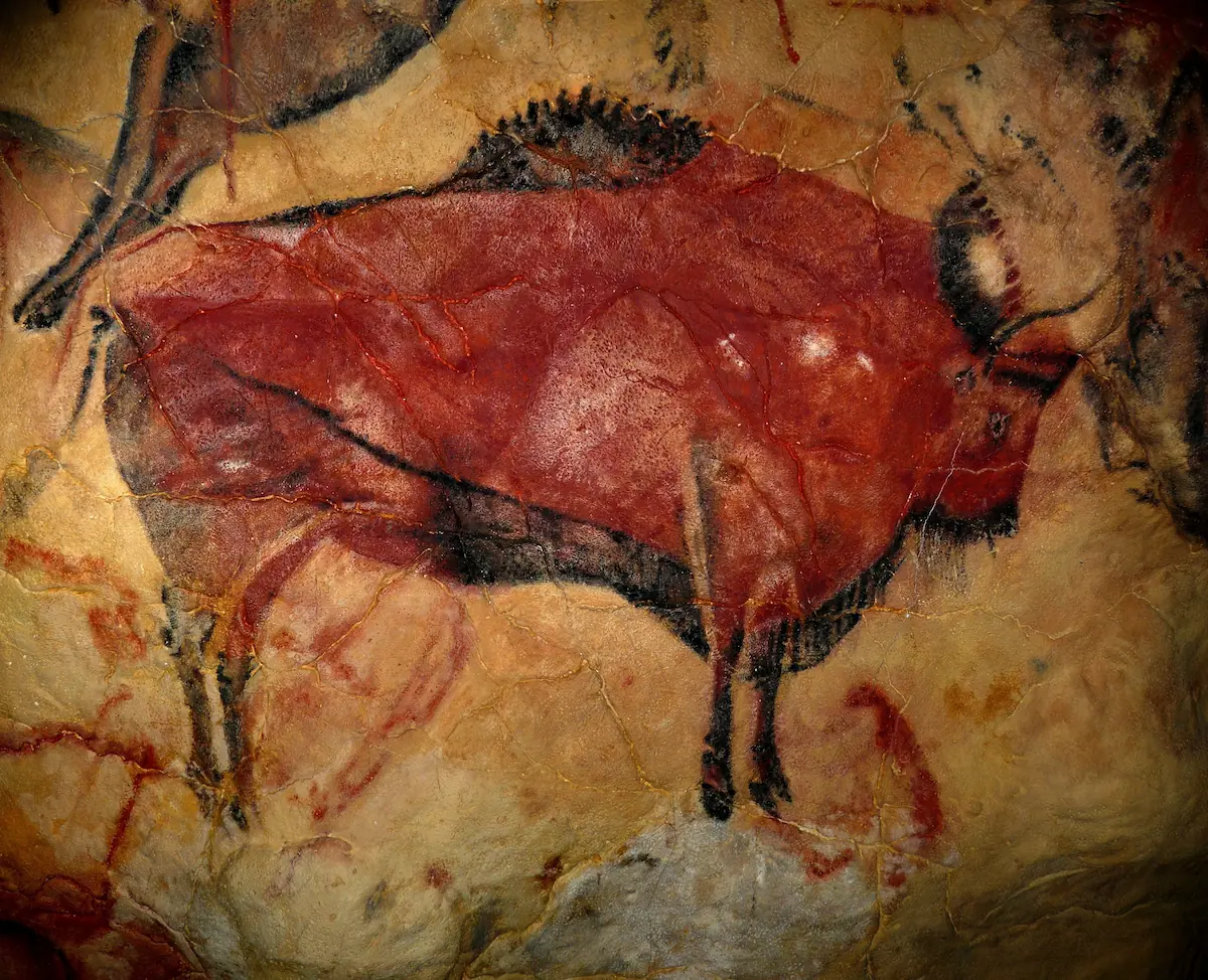 Bison ceiling painting replica inside the Altamira Neocave, Cantabria