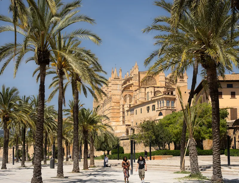 Palma Cathedral, La Seu, along a palm-lined street in the old town