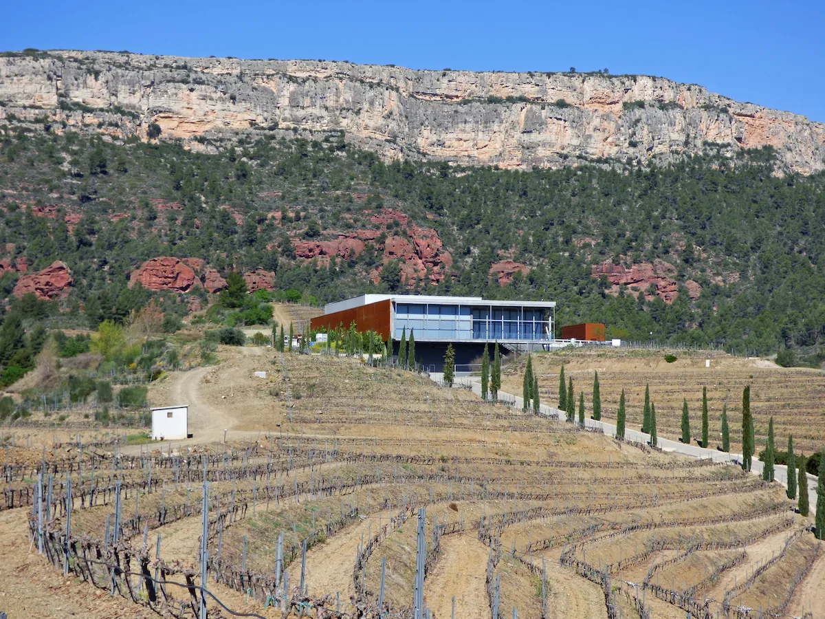 Terraced vineyards at a Priorat winery, with mountains in the background