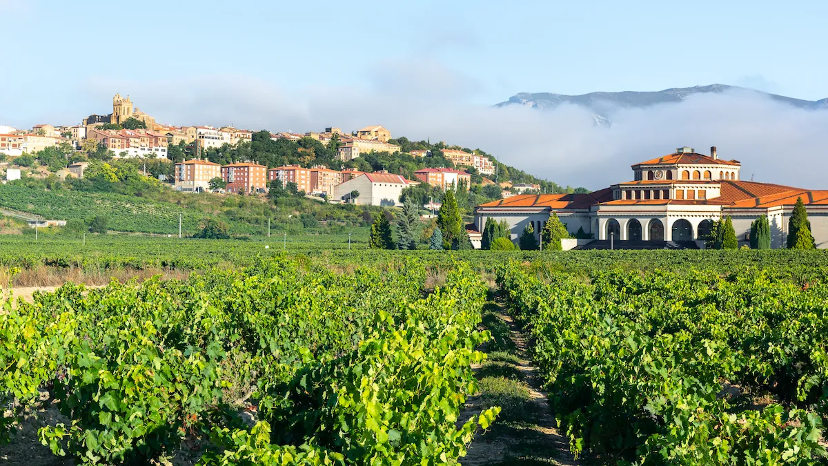 Vineyards and a village in La Rioja wine country
